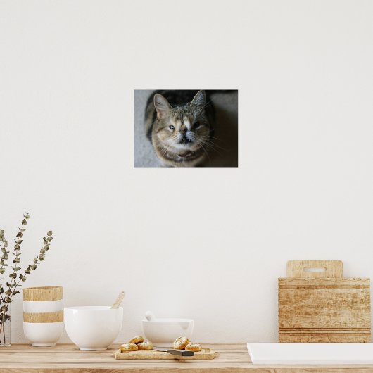 Poster Quasi "Feed Me" (Cuisine)