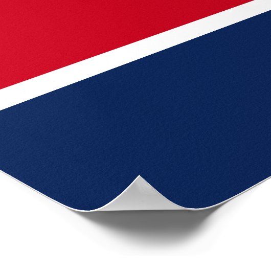 Poster Quatorzième amendement Article 3 Constitution (Coin)