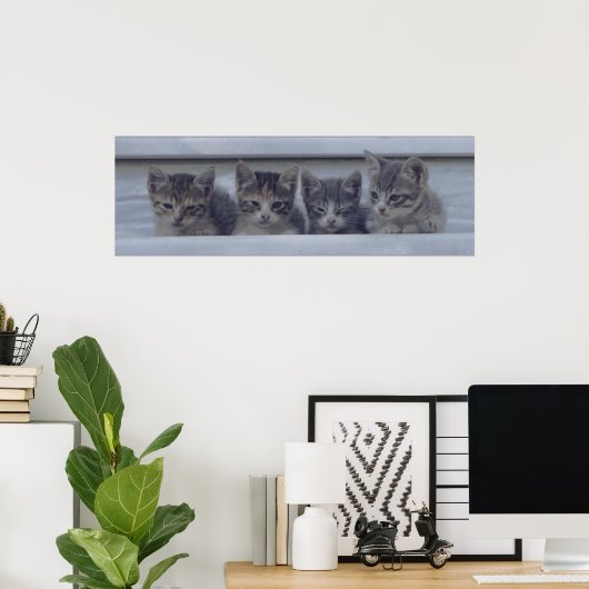 Poster Quatre chatons endormis dans une rangée (Bureau à domicile)