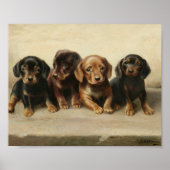 Poster Quatre chiots teckel | Carl Reichert (Devant)
