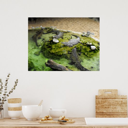 Poster Quatre crocodiles (Cuisine)