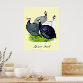 Poster Quatre Guineas (Cuisine)