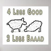 Quatre Jambes Beau Mouton Drôle