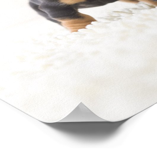 Poster Quatre Mini Dachshund (Coin)