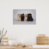 Poster Quatre petits chiots de Chow (Cuisine)