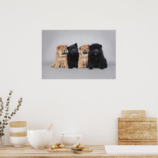 Poster Quatre petits chiots de Chow (Cuisine)