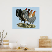 Poster Quatre poules de combat (Cuisine)