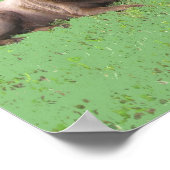 Poster Quatre premiers (Coin)