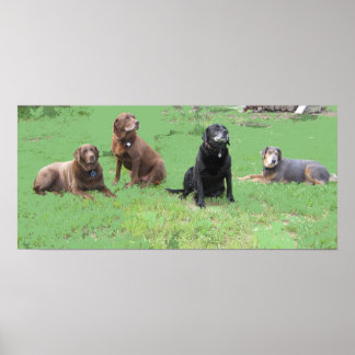 Poster Quatre premiers