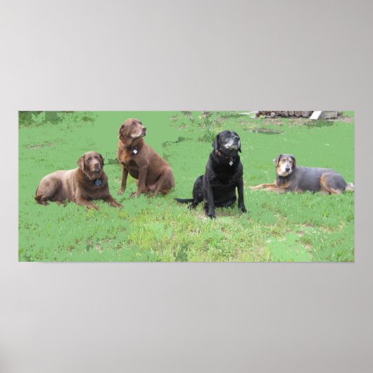 Poster Quatre premiers (Devant)