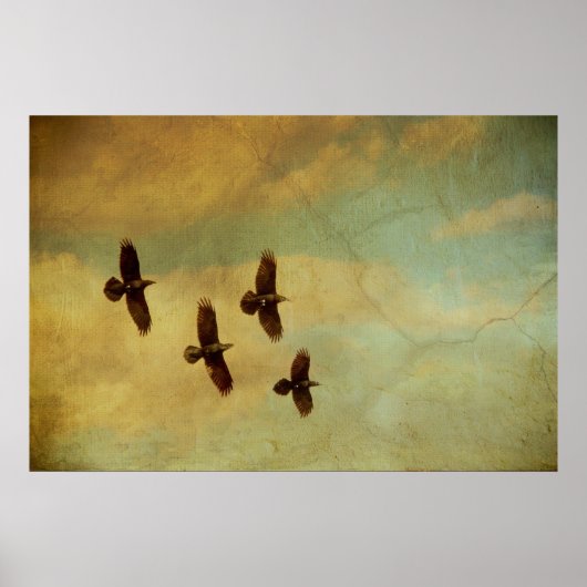Poster Quatre Ravens volant (Devant)