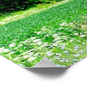 Poster Quatre saisons du Michigan (Coin)