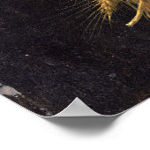 Poster Quatre saisons en une tête par Giuseppe Arcimboldo (Coin)