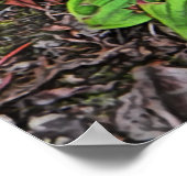 Poster Quatre-temps aux fruits (Coin)