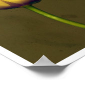 Poster Quatre tulipes (Coin)