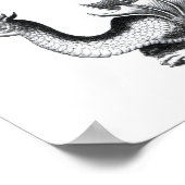 Poster Quatre types de dragon (Coin)