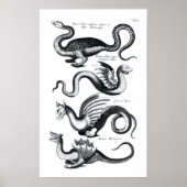 Poster Quatre types de dragon (Devant)