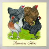 Poster Quatuor Bantam Hen, Bantam Hens (Devant)