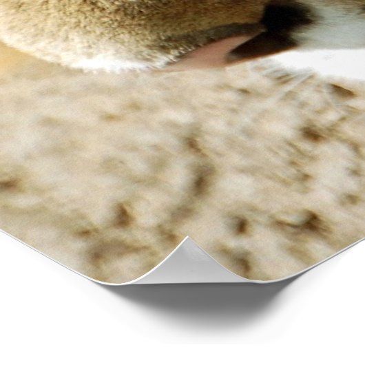 Poster Que puis-je faire ensuite ? (Coin)