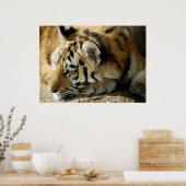 Poster Que puis-je faire ensuite ? (Cuisine)