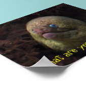 Poster Que regardes-tu ? (Coin)