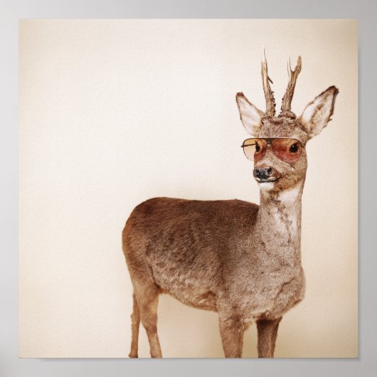 Poster Que regardes-tu ? (Devant)