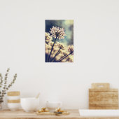 Poster Queen Annes Lace flowers (Cuisine)