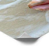 Poster Queen Conch dans le Surf, Bahamas (Coin)