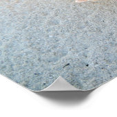 Poster Queen Conch Shell on Bahamas Beach (Coin)
