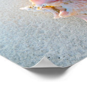 Poster Queen Conch Shell on Bahamas Beach (Coin)
