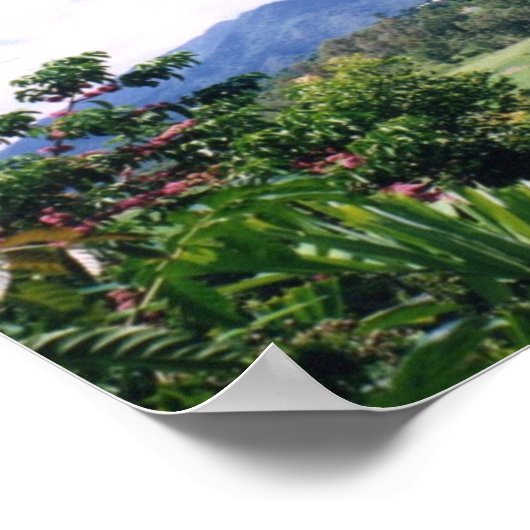 Poster Queensland (Coin)