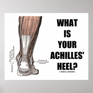 Poster Quel Est Le Talon De Vos Achilles ? (Anatomie du t