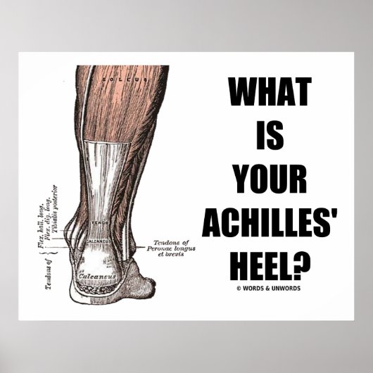 Poster Quel Est Le Talon De Vos Achilles ? (Anatomie du t (Devant)