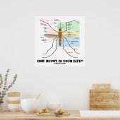 Poster Quelle Buggy Est Votre Vie ? Humour d'anatomie des (Cuisine)