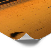 Poster Quelque chose dans l'Orange - Canards (Coin)