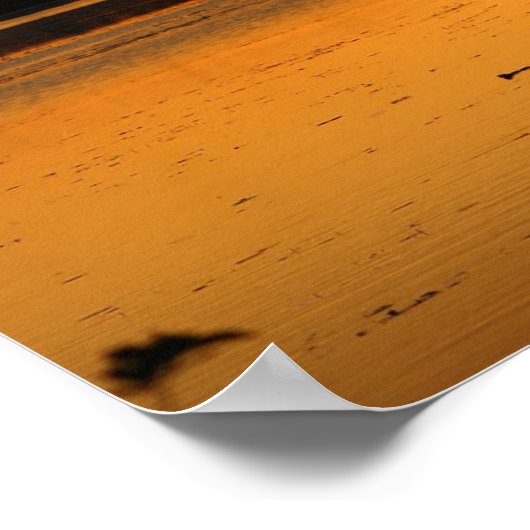 Poster Quelque chose dans l'Orange - Canards (Coin)