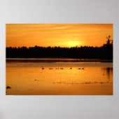 Poster Quelque chose dans l'Orange - Canards (Devant)