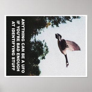 Poster Quelque chose peut être un UFO (petit)