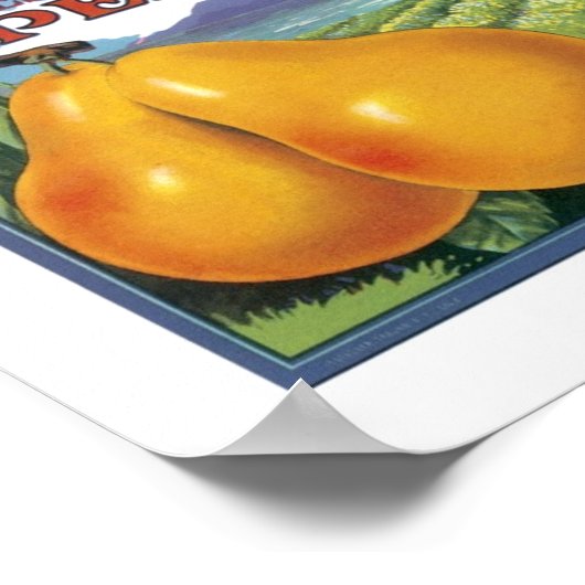 Poster Quercus Ranch Bartlett Pears (Coin)