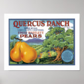 Poster Quercus Ranch Bartlett Pears (Devant)