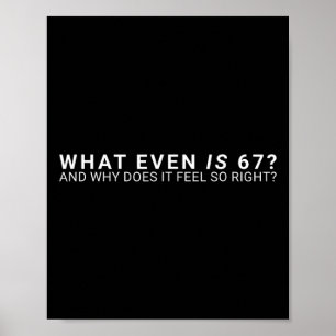 Poster Qu'est-ce que c'est que ce mème 67