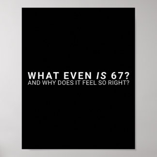 Poster Qu'est-ce que c'est que ce mème 67