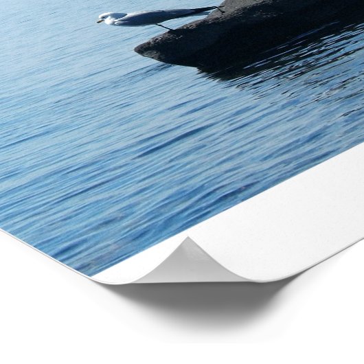 POSTER QU'EST-CE QUI NE VA PAS ? (Coin)