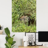Poster Qu'est-ce qui se passe? (Bureau à domicile)