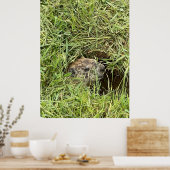 Poster Qu'est-ce qui se passe? (Cuisine)