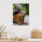 Poster Qu'est-ce qu'il a ? (Cuisine)