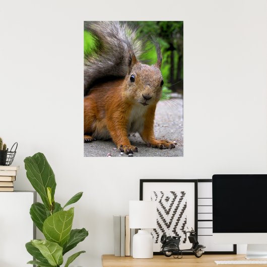 Poster Qu'est-ce qu'il a ? (Bureau à domicile)