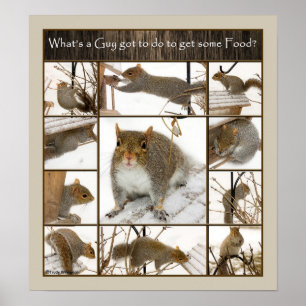 Poster - Qu'est-ce qu'un gars Doit faire pour obte