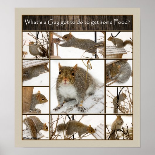 Poster - Qu'est-ce qu'un gars Doit faire pour obte (Devant)