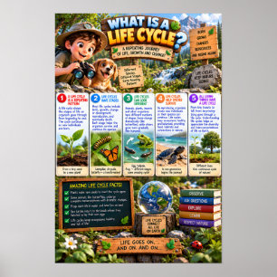 Poster Qu'est-ce qu'une infographie de cycle de vie